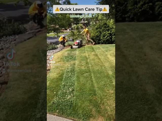 Lawn Care Mowing Tip (adding stripes) #shorts