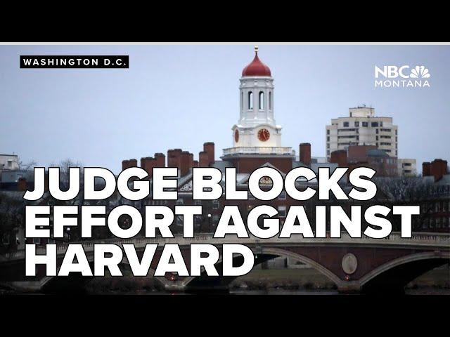 Federal judge blocks Trump effort to keep Harvard from hosting foreign students