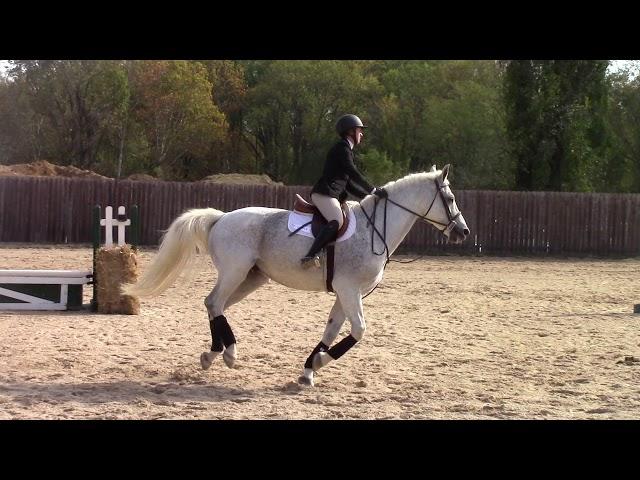 Cary Hundley and Quincy - Open Fences - Goucher