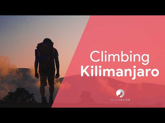 Climbing Kilimanjaro |  Lemosho route | Follow Alice