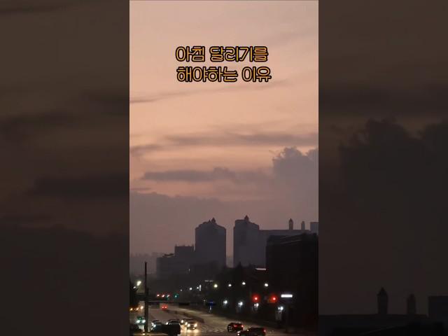 당장 내일부터 아침 달리기를 해야하는 이유