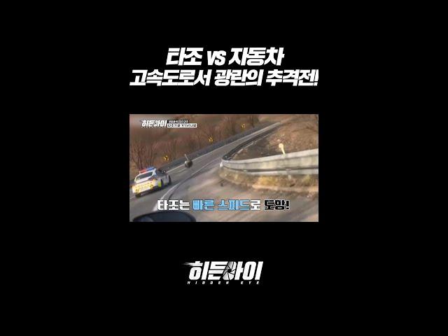 타조 vs 자동차 고속도로서 광란의 추격전! l #히든아이 l #MBCevery1 l #shorts