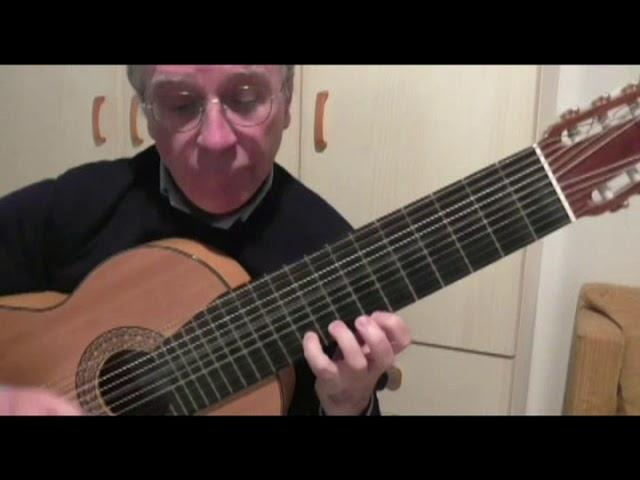 B. Giordano, The biology of the guitar (chitarrista Roberto Masala)