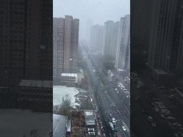 snow in 2024#Snow