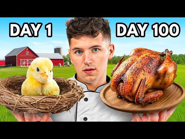 I Hatched A Chicken, Then Cooked It