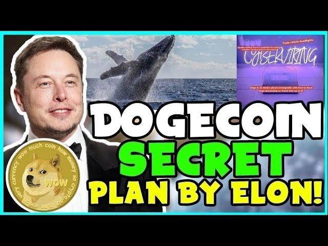 *UPDATE NOW* Elon Musk And Trump Hints Dogecoin's HUGE PLANS!! (Speculations!) Trump & TESLA!