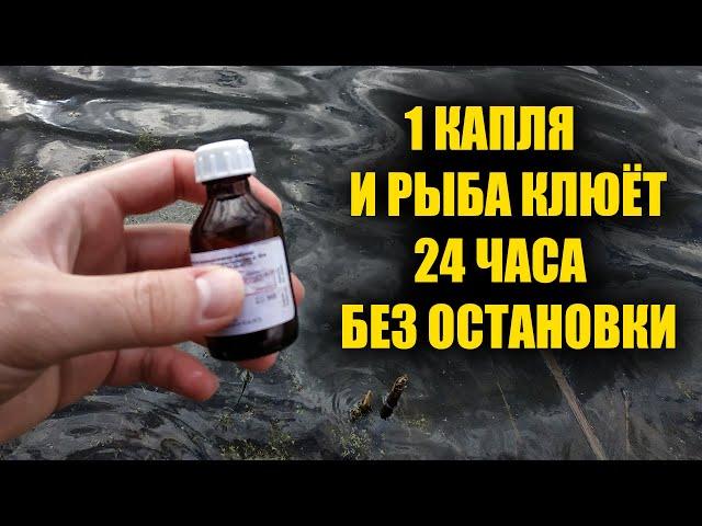 1 капля заставляет всю рыбу клевать. 95% рыбаков не знают этого