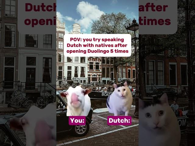 Speak Dutch with confidence