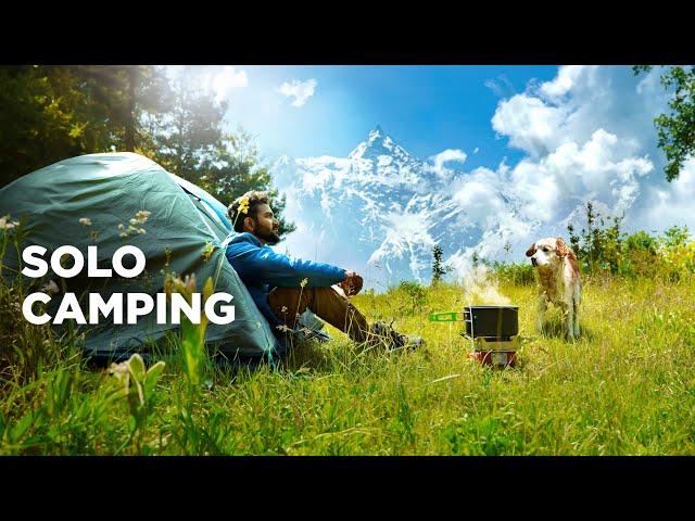 Solo Camping in Forest - Himachal Pradesh | Relaxing in Nature | Hiking and Camping in India