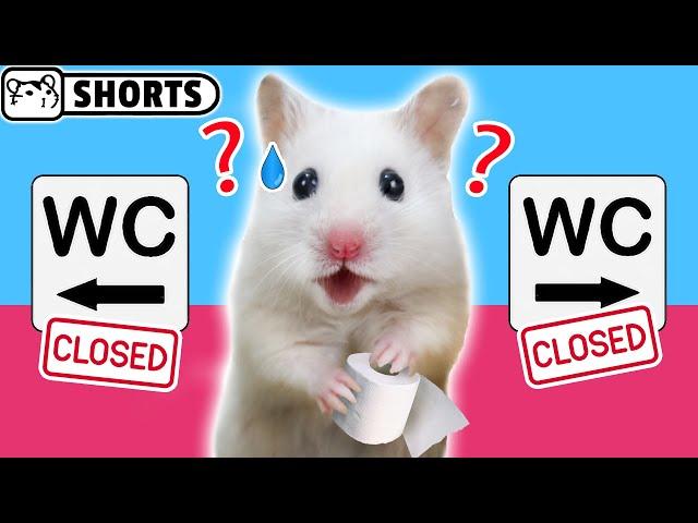 Hamster impostor Among Us - The Airship WC #Shorts  Homura Ham