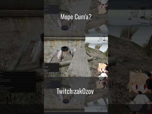 #twitch  #garrysmod #gmod #roblox #backrooms #halflife2 #minecraft #майнкрафт #memes #stream #стрим