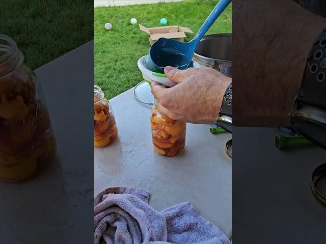 Homemade canned peaches in 1 minute #diy #canning #canningandpreserving #peaches #harvest