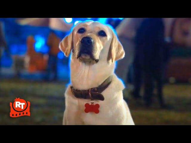 Strays (2023) - Narrator Dog Hilarious Scene | Movieclips