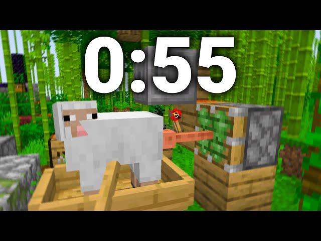 Minecraft Sheep F*cker Speedrun FWR (0:55)
