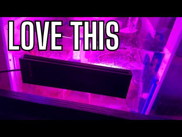 Best Refugium Light - saltwater aquarium refugium lighting