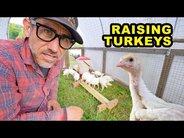 Four Things I am doing differently Raising Turkeys This Year