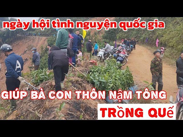 Bà con thôn nậm tông cùng đoàn tình nguyện trồng cây quế phát triển kinh tế