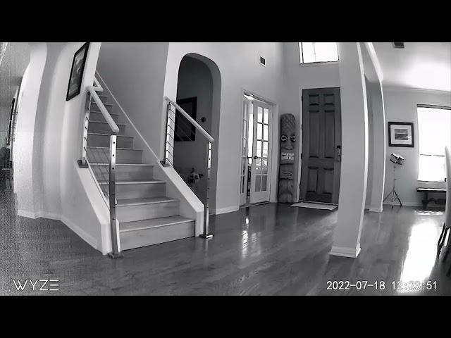 Roomba falling down stairs