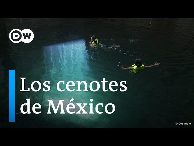 La defensa del oro azul de la Península de Yucatán