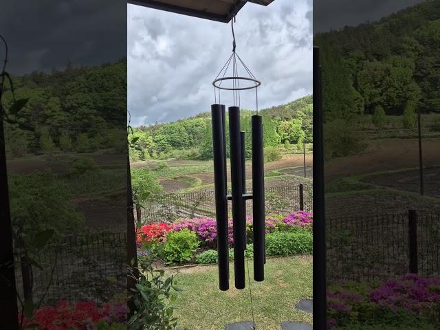 #단비책방 #세종 #논뷰 #풍경소리 #정원