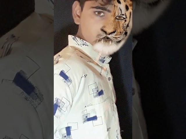 Vinooth vinu Real Tiger