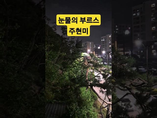 #눈물의부르스# 원곡 주현미 #송가인# 아름다운 야경
