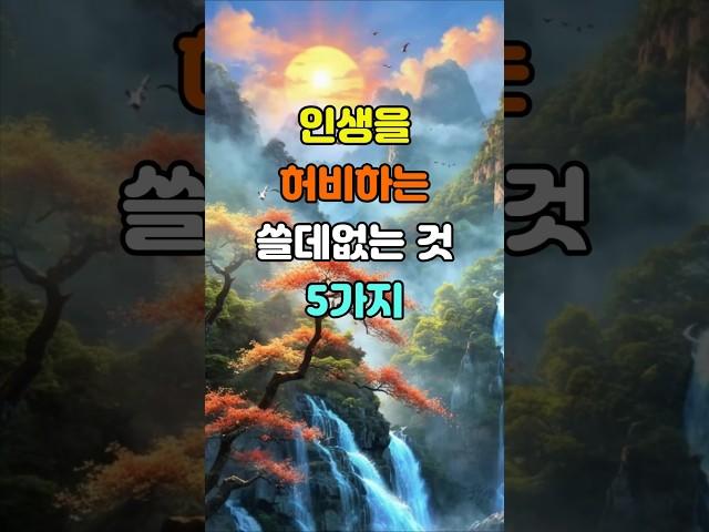 인생을 허비하는 쓸데없는 것 5가지  #명언 #좋은글 #지혜