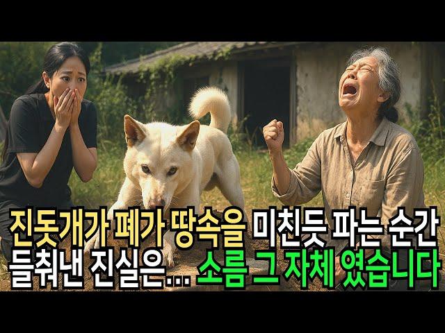 진돗개가 폐가의 김치저장고를 보고 미친듯이 땅파는 순간 충격적 결말이 드러나는데...