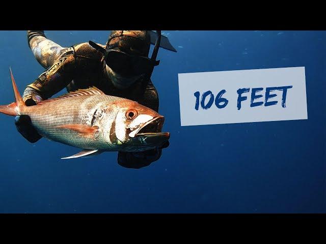 SPEARFISHING JOBFISH AT 106 FT [Blue Water Spearfishing]