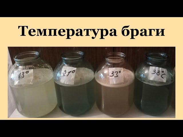 Температура браги.