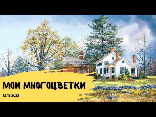 Вышивка крестом и гобеленом за 2,5 месяца // Сложные многоцветки