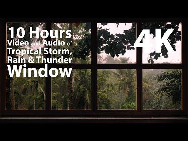 4K 10 hours - Tropical Storm Window with Rain & Thunder - relaxation, meditation, nature