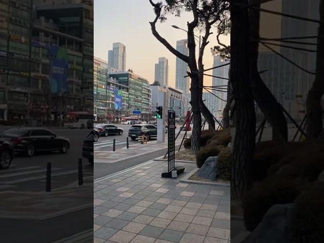 눈호강하고 오는 영상️(마지막주의)