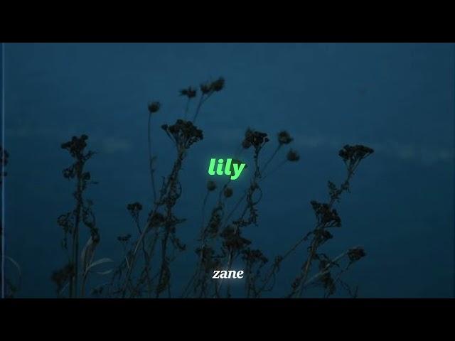 Alan Walker, K-391 & Emelie Hollow - Lily (slowed + reverb)