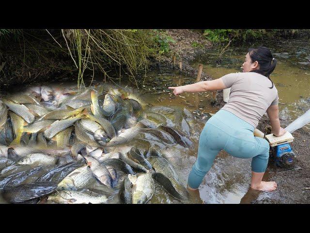 Top Greatest Fishing video, Harvesting fish | Skillfully use the water pump and catch many fish