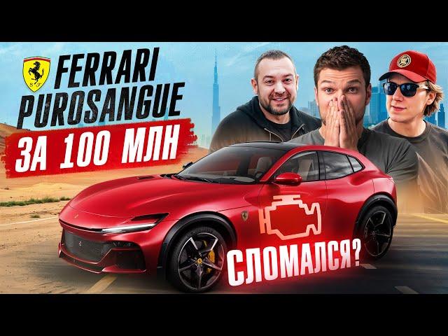 Тестируем НОВЫЙ Ferrari Purosangue! Коллекция Nissan GT-R. Давидыч и Kozloww в Дубае!