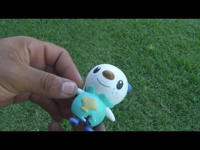 What to do with your oshawott﻿