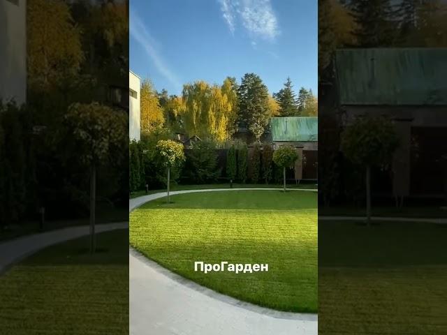 дизайн участка от ПроГарден