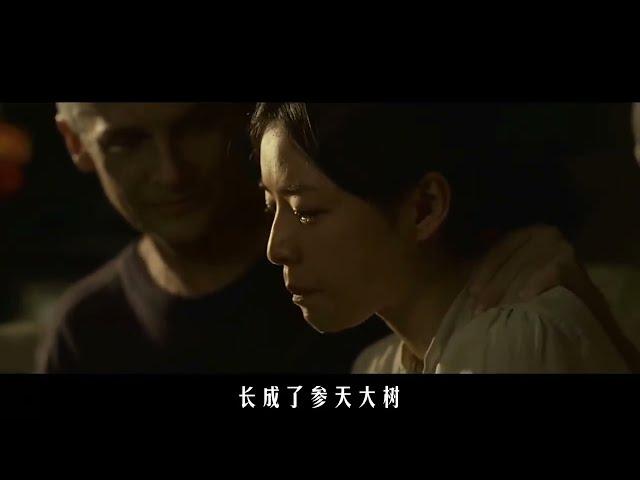 一口气看完科幻大作《三体》全集解说