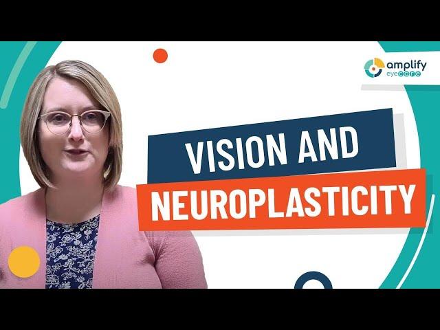Vision and Neuroplasticity
