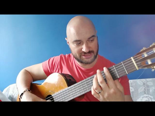 GITARA ZA POČETNIKE-Osnove gitare POLJA NA GITARI