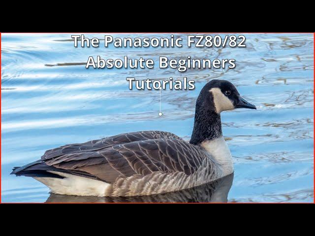 Absolute Beginner's Guide to Panasonic Lumix FZ80/82 Camera: Intro