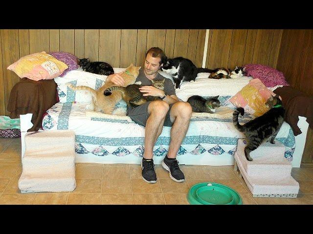 Kitty Therapy