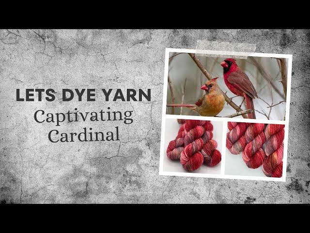 Battling Chaos & Staying Motivated - Lets Get Back To Dyeing Yarn - Captivating Cardinal