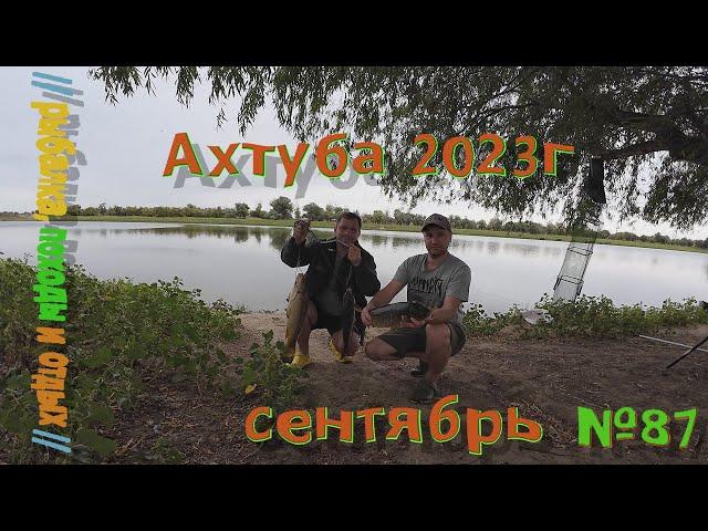 Ахтуба 2023 !!!  Рыбалка в астраханской области . Ловля на жмых . Неделя рыбалки