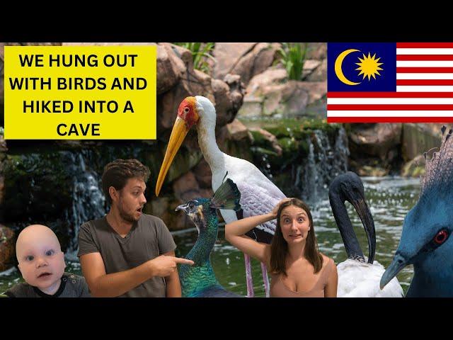 LARGEST BIRD PARK IN THE WORLD | Perdana Botanical Garden | Batu Caves | Kuala Lumpur Travel Guide