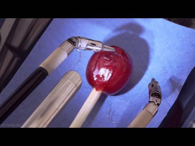 da Vinci Robot Stitches a Grape Back Together