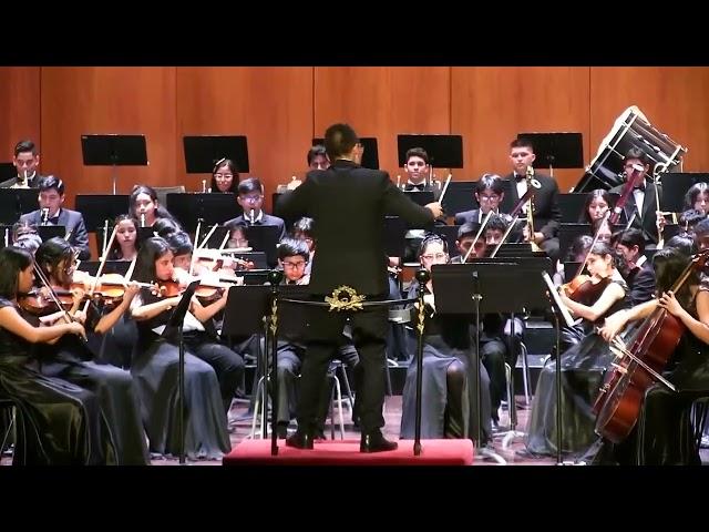 Beethoven Sinfonia 5 Mov 1