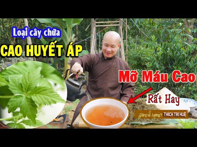 High Blood Pressure, Melt Blood Fat, Brain Anemia, Melt Tumor Effectively - Master Thich Tri Hue