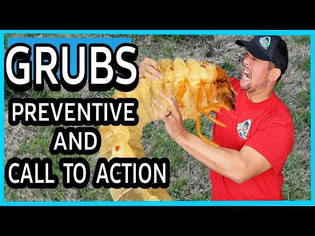 How to Get Rid of GRUBS with these 2 Products!